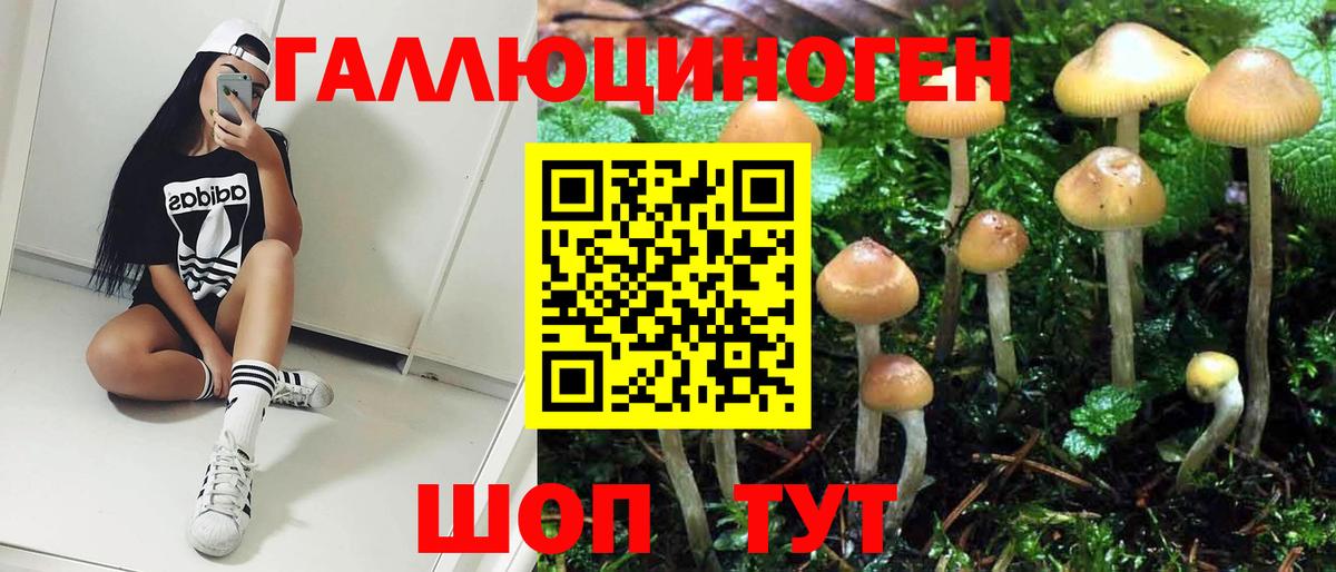 Ишим  Галлюциногенные грибы MAGIC MUSHROOMS  Вход с VPN 